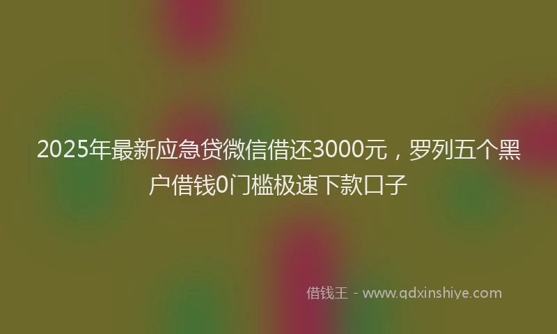 2025年最新应急贷微信借还3000元，罗列五个黑户借钱0门槛极速下款口子