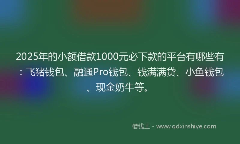 2025年的小额借款1000元必下款的平台有哪些有：飞猪钱包、融通Pro钱包、钱满满贷、小鱼钱包、现金奶牛等。