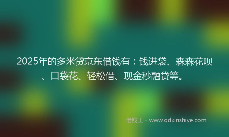 2025年的多米贷京东借钱有：钱进袋、森森花呗、口袋花、轻松借、现金秒融贷等。