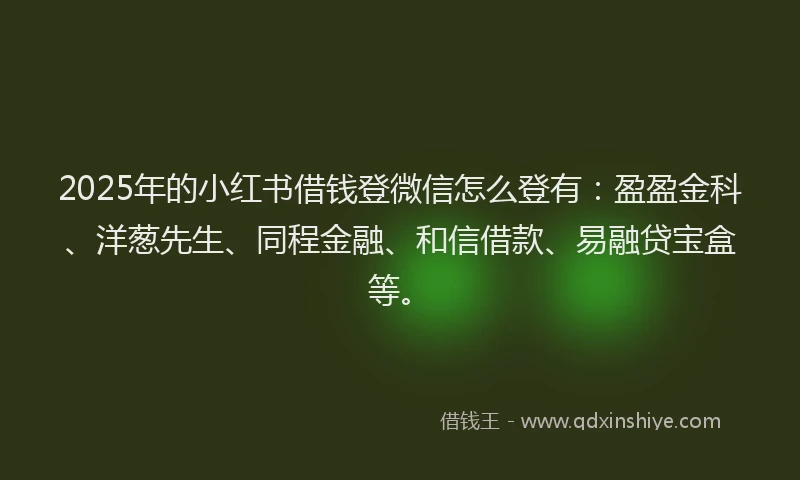 2025年的小红书借钱登微信怎么登有：盈盈金科、洋葱先生、同程金融、和信借款、易融贷宝盒等。