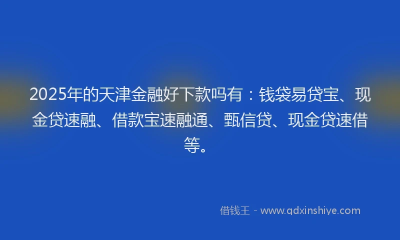 2025年的天津金融好下款吗有：钱袋易贷宝、现金贷速融、借款宝速融通、甄信贷、现金贷速借等。