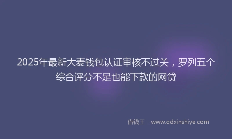 2025年最新大麦钱包认证审核不过关，罗列五个综合评分不足也能下款的网贷