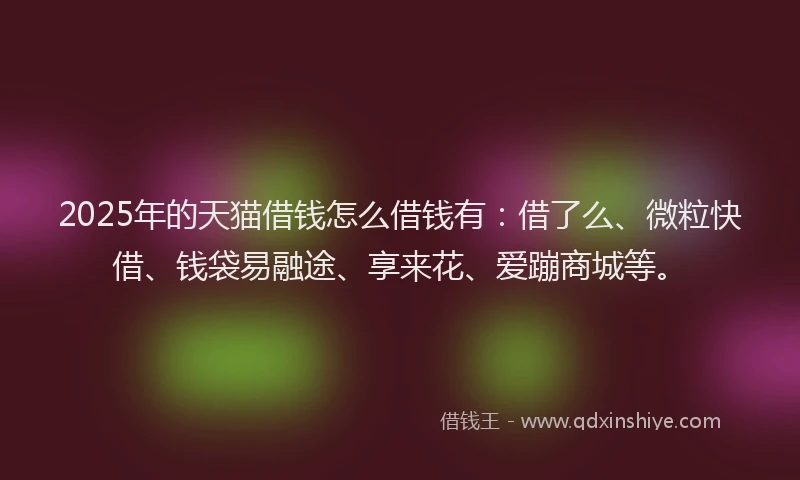 2025年的天猫借钱怎么借钱有：借了么、微粒快借、钱袋易融途、享来花、爱蹦商城等。