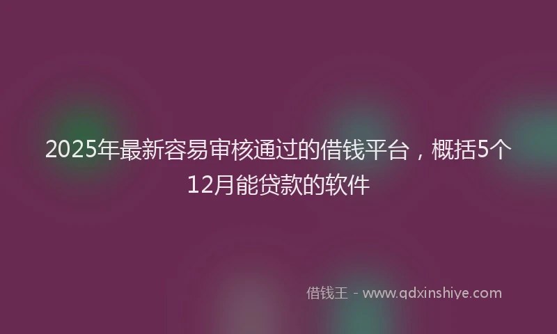 2025年最新容易审核通过的借钱平台，概括5个12月能贷款的软件