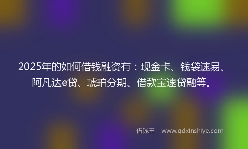 2025年的如何借钱融资有：现金卡、钱袋速易、阿凡达e贷、琥珀分期、借款宝速贷融等。