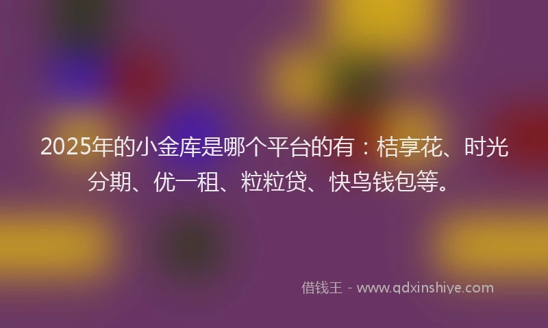 2025年的小金库是哪个平台的有：桔享花、时光分期、优一租、粒粒贷、快鸟钱包等。