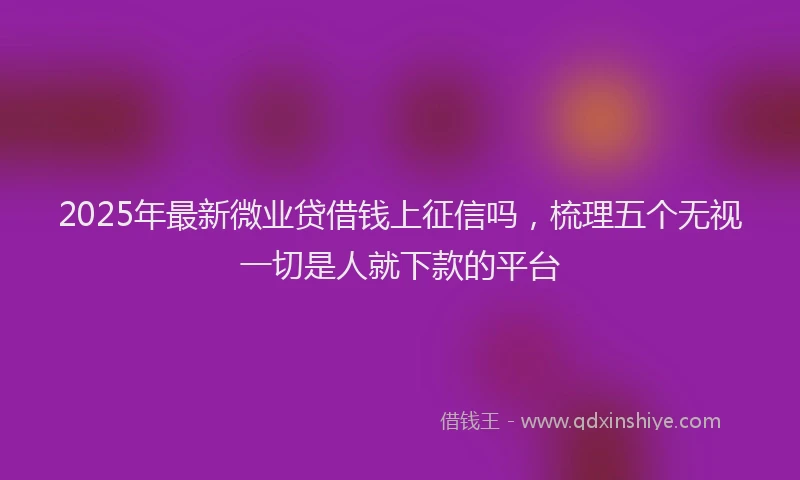 2025年最新微业贷借钱上征信吗，梳理五个无视一切是人就下款的平台