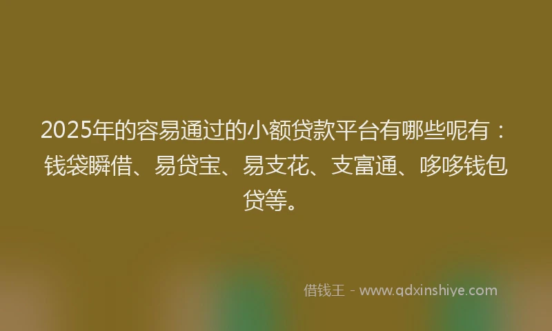 2025年的容易通过的小额贷款平台有哪些呢有：钱袋瞬借、易贷宝、易支花、支富通、哆哆钱包贷等。