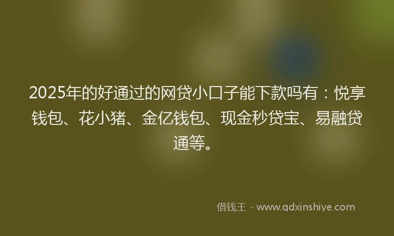 2025年的好通过的网贷小口子能下款吗有：悦享钱包、花小猪、金亿钱包、现金秒贷宝、易融贷通等。