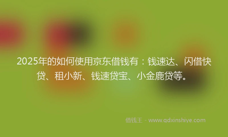 2025年的如何使用京东借钱有：钱速达、闪借快贷、租小新、钱速贷宝、小金鹿贷等。