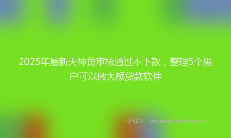 2025年最新天神贷审核通过不下款，整理5个黑户可以做大额贷款软件