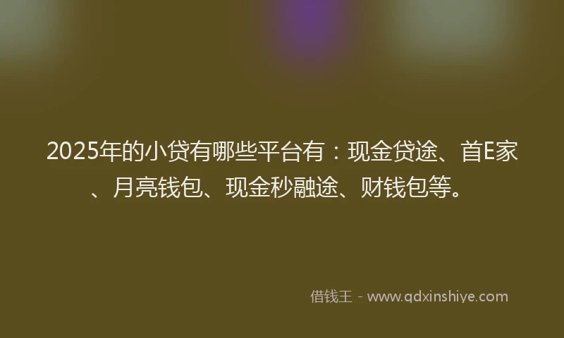 2025年的小贷有哪些平台有：现金贷途、首E家、月亮钱包、现金秒融途、财钱包等。