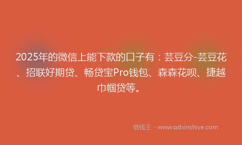2025年的微信上能下款的口子有：芸豆分-芸豆花、招联好期贷、畅贷宝Pro钱包、森森花呗、捷越巾帼贷等。