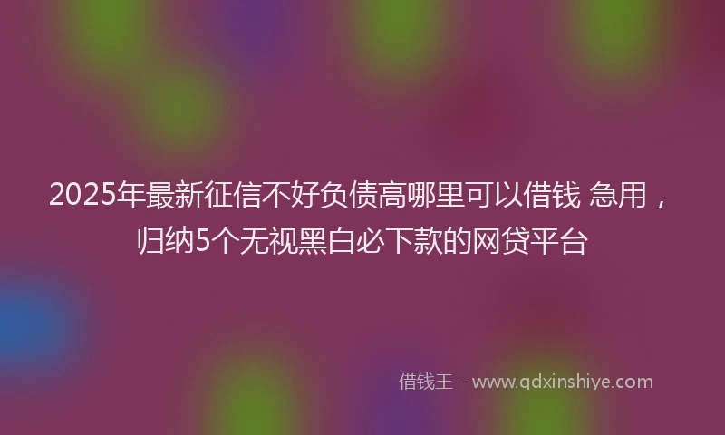 2025年最新征信不好负债高哪里可以借钱 急用，归纳5个无视黑白必下款的网贷平台