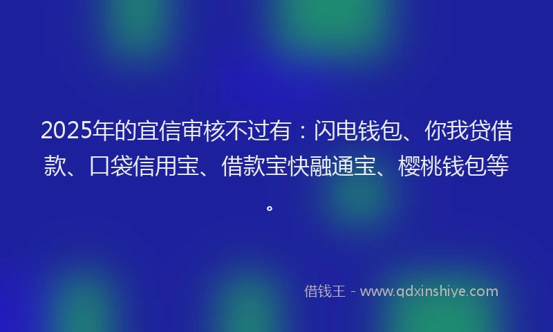 2025年的宜信审核不过有：闪电钱包、你我贷借款、口袋信用宝、借款宝快融通宝、樱桃钱包等。