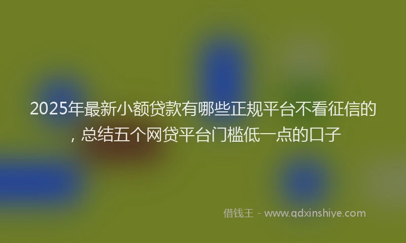 2025年最新小额贷款有哪些正规平台不看征信的，总结五个网贷平台门槛低一点的口子