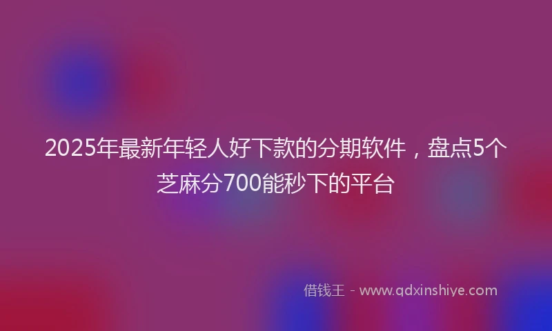 2025年最新年轻人好下款的分期软件，盘点5个芝麻分700能秒下的平台