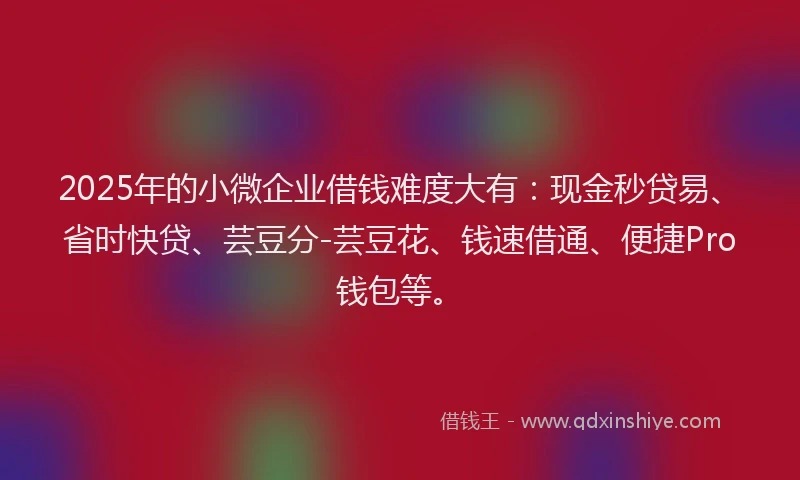 2025年的小微企业借钱难度大有：现金秒贷易、省时快贷、芸豆分-芸豆花、钱速借通、便捷Pro钱包等。