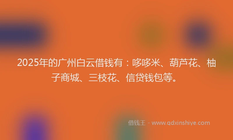2025年的广州白云借钱有：哆哆米、葫芦花、柚子商城、三枝花、信贷钱包等。