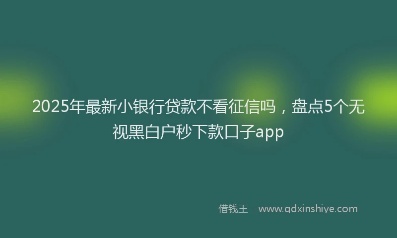2025年最新小银行贷款不看征信吗，盘点5个无视黑白户秒下款口子app