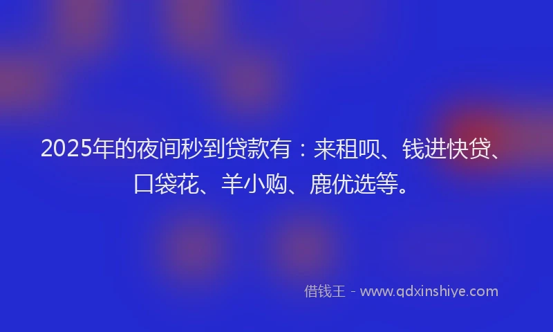 2025年的夜间秒到贷款有：来租呗、钱进快贷、口袋花、羊小购、鹿优选等。