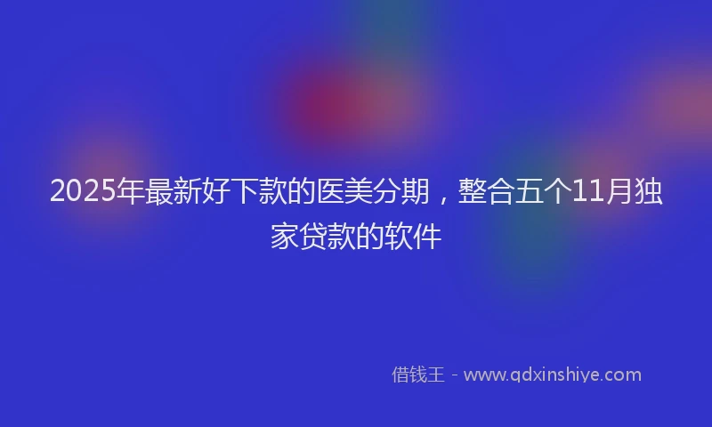2025年最新好下款的医美分期，整合五个11月独家贷款的软件