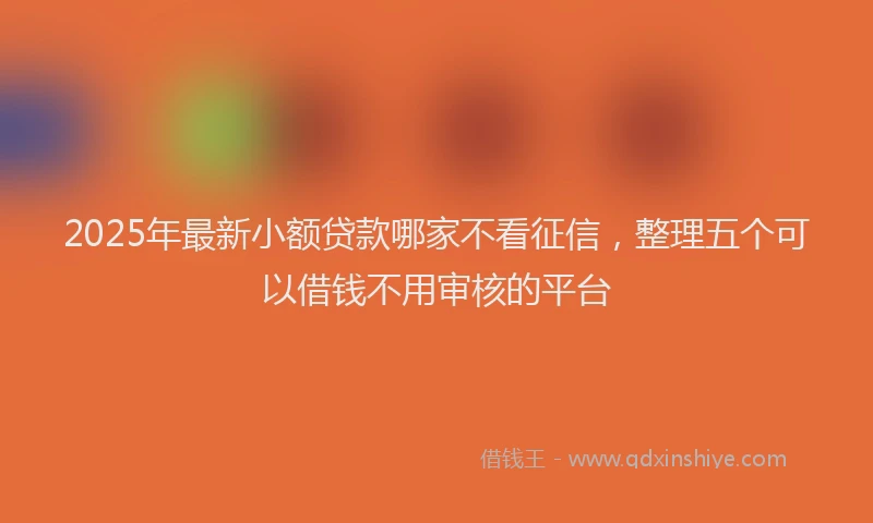 2025年最新小额贷款哪家不看征信，整理五个可以借钱不用审核的平台