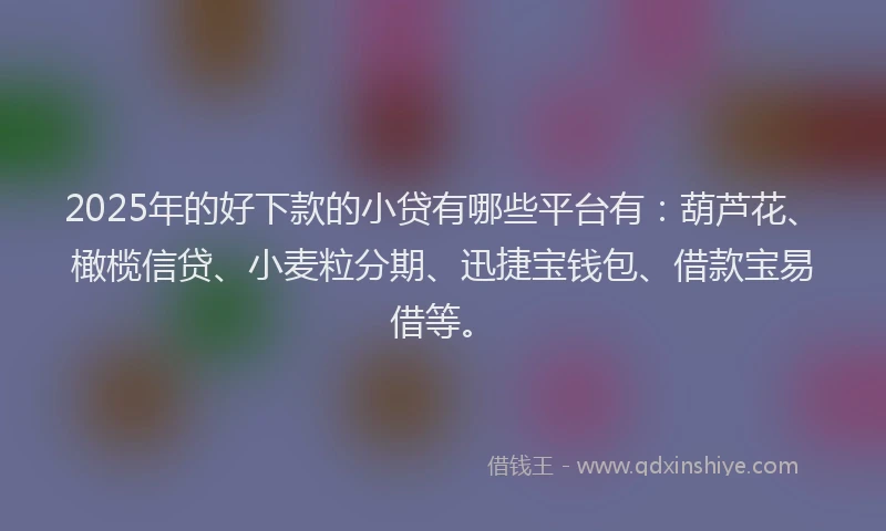 2025年的好下款的小贷有哪些平台有：葫芦花、橄榄信贷、小麦粒分期、迅捷宝钱包、借款宝易借等。