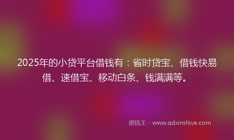 2025年的小贷平台借钱有：省时贷宝、借钱快易借、速借宝、移动白条、钱满满等。