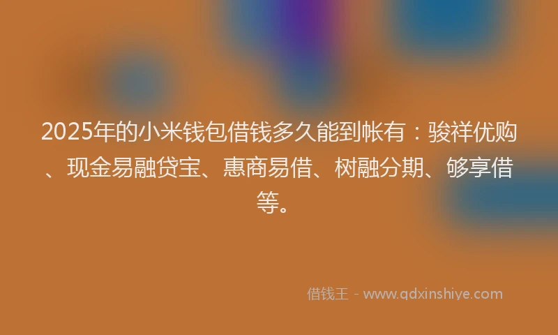 2025年的小米钱包借钱多久能到帐有：骏祥优购、现金易融贷宝、惠商易借、树融分期、够享借等。
