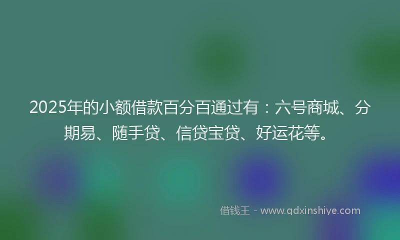 2025年的小额借款百分百通过有：六号商城、分期易、随手贷、信贷宝贷、好运花等。