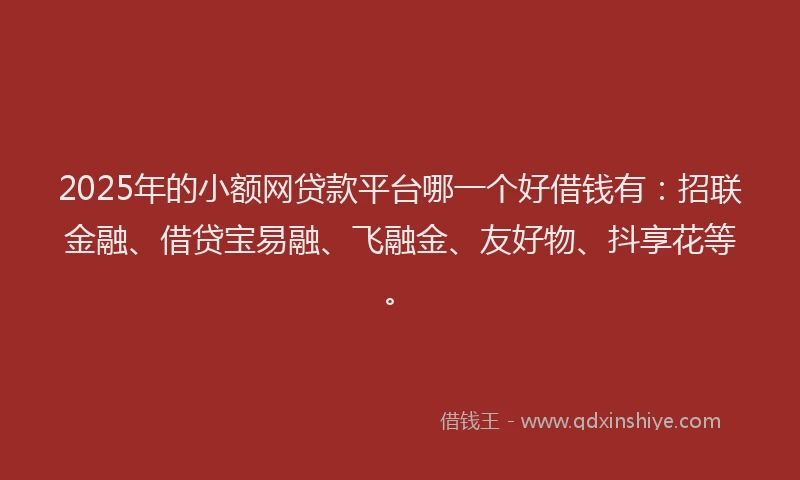 2025年的小额网贷款平台哪一个好借钱有：招联金融、借贷宝易融、飞融金、友好物、抖享花等。