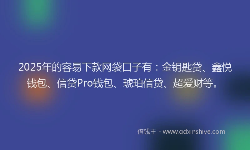 2025年的容易下款网袋口子有：金钥匙贷、鑫悦钱包、信贷Pro钱包、琥珀信贷、超爱财等。