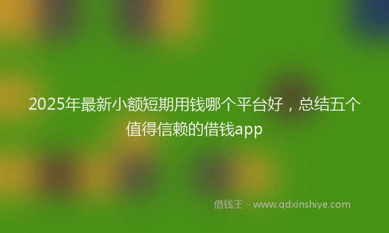 2025年最新小额短期用钱哪个平台好，总结五个值得信赖的借钱app