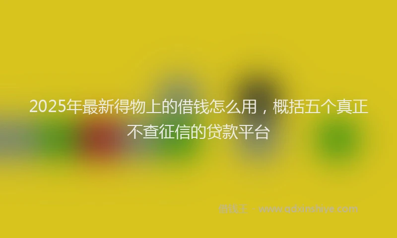 2025年最新得物上的借钱怎么用，概括五个真正不查征信的贷款平台