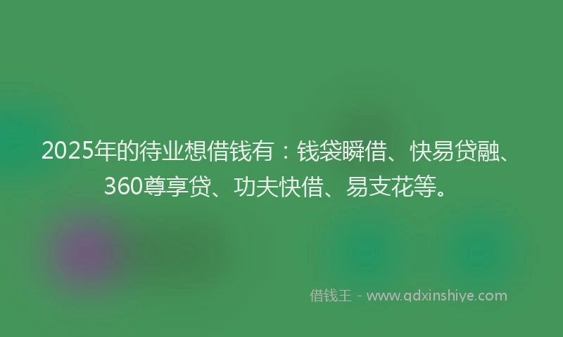 2025年的待业想借钱有：钱袋瞬借、快易贷融、360尊享贷、功夫快借、易支花等。