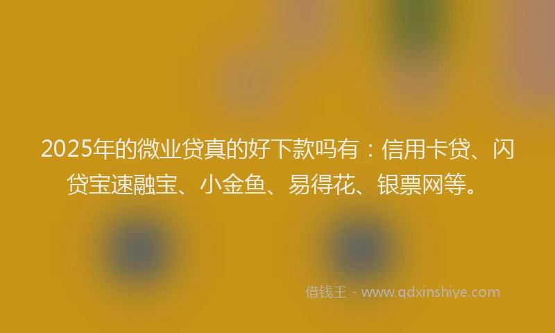 2025年的微业贷真的好下款吗有：信用卡贷、闪贷宝速融宝、小金鱼、易得花、银票网等。