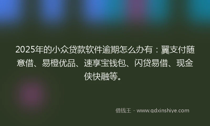 2025年的小众贷款软件逾期怎么办有：翼支付随意借、易橙优品、速享宝钱包、闪贷易借、现金侠快融等。