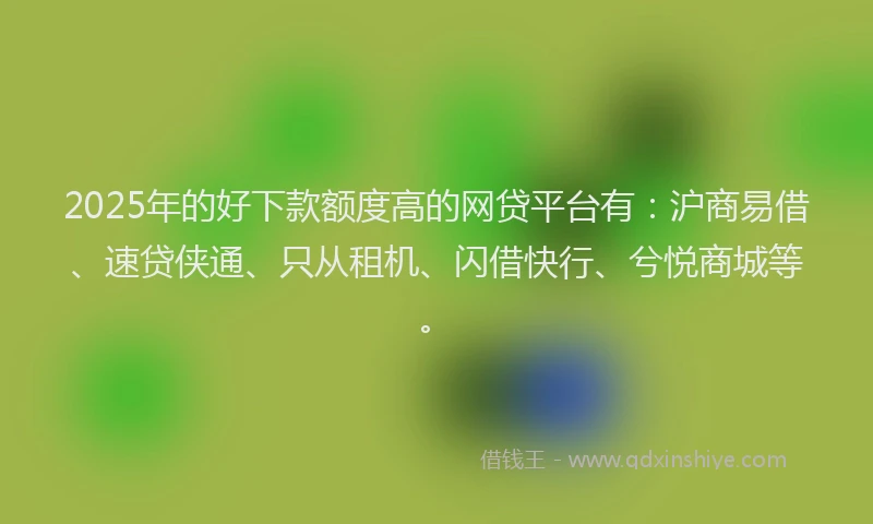 2025年的好下款额度高的网贷平台有：沪商易借、速贷侠通、只从租机、闪借快行、兮悦商城等。