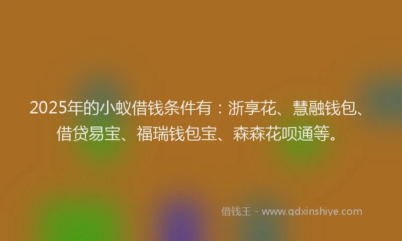 2025年的小蚁借钱条件有：浙享花、慧融钱包、借贷易宝、福瑞钱包宝、森森花呗通等。