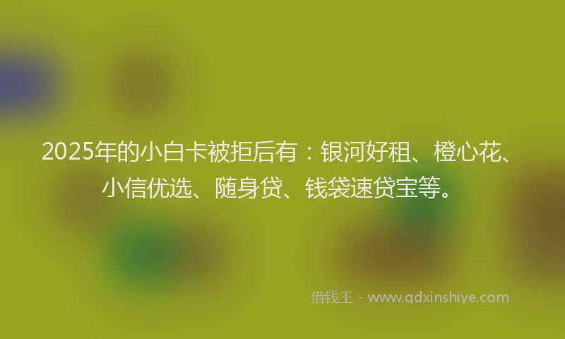 2025年的小白卡被拒后有：银河好租、橙心花、小信优选、随身贷、钱袋速贷宝等。