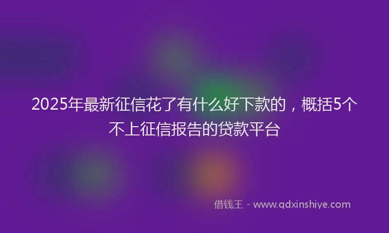 2025年最新征信花了有什么好下款的，概括5个不上征信报告的贷款平台