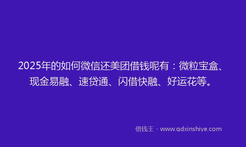 2025年的如何微信还美团借钱呢有：微粒宝盒、现金易融、速贷通、闪借快融、好运花等。