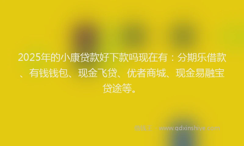 2025年的小康贷款好下款吗现在有：分期乐借款、有钱钱包、现金飞贷、优者商城、现金易融宝贷途等。