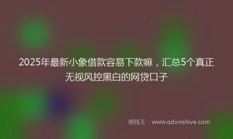 2025年最新小象借款容易下款嘛，汇总5个真正无视风控黑白的网贷口子