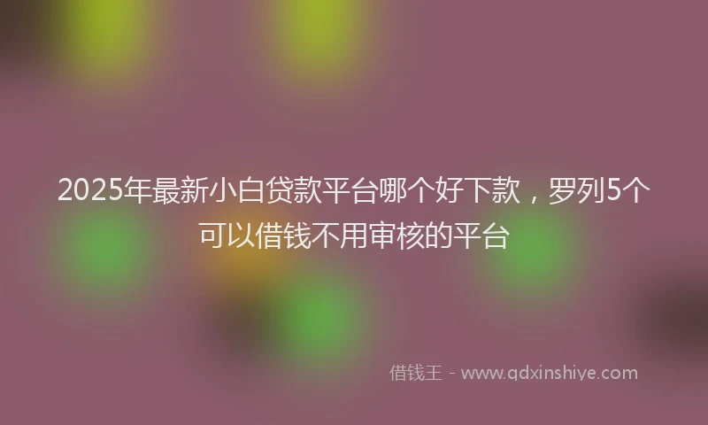 2025年最新小白贷款平台哪个好下款，罗列5个可以借钱不用审核的平台