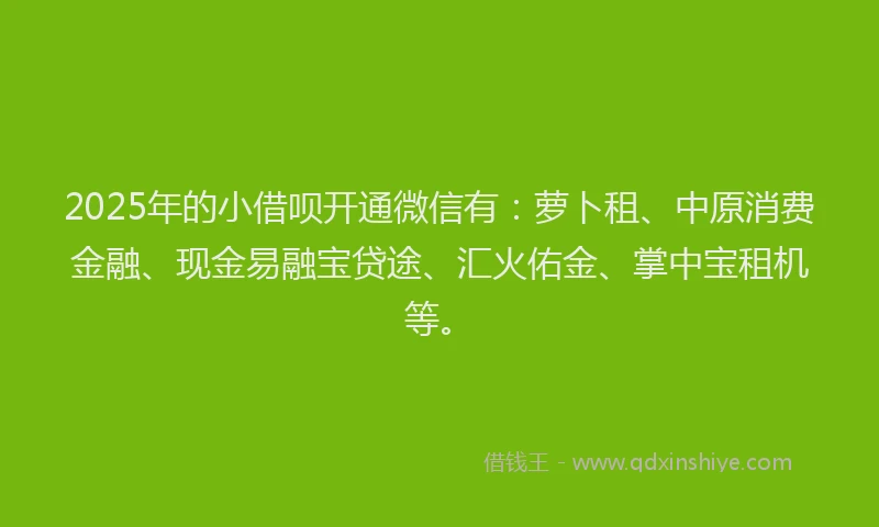 2025年的小借呗开通微信有：萝卜租、中原消费金融、现金易融宝贷途、汇火佑金、掌中宝租机等。