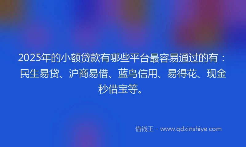 2025年的小额贷款有哪些平台最容易通过的有：民生易贷、沪商易借、蓝鸟信用、易得花、现金秒借宝等。