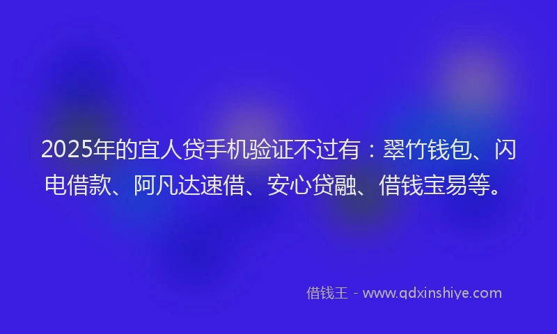 2025年的宜人贷手机验证不过有：翠竹钱包、闪电借款、阿凡达速借、安心贷融、借钱宝易等。
