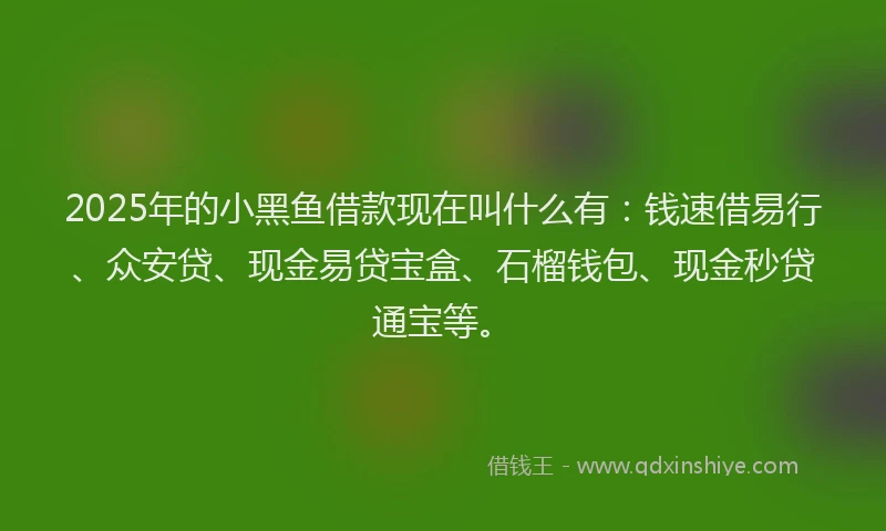 2025年的小黑鱼借款现在叫什么有：钱速借易行、众安贷、现金易贷宝盒、石榴钱包、现金秒贷通宝等。